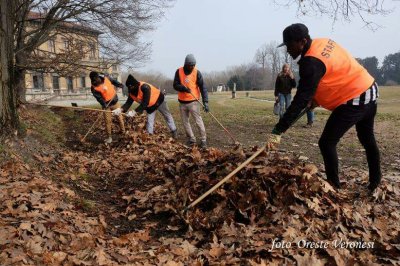 La pulizia del Viale e della Villa Bagatti